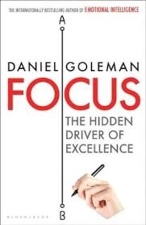 focus the hidden driver of excellence (used,paper back, good condition)