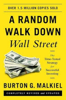 A random walk down (used,paper back, good condition)