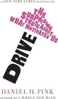 Drive the Surprising Truth About what motivates us (used,paper back,good condition)