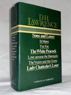 sons and lovers (used,hard cover,good condition)