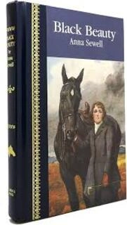 black beauty (used,hard cover,good condition)