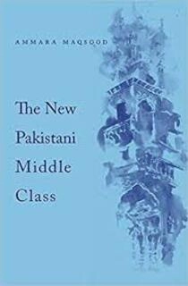 the new pakistani middle class (used,hard cover,good condition)