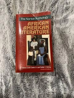 the norton anthologyafrican american literature (used,paper back, good condition)