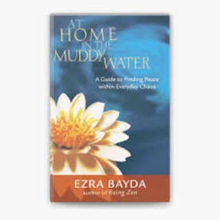 at home in the muddy water (used,hard cover,good condition)