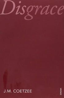 Disgrace ( used, good condition, paperback )