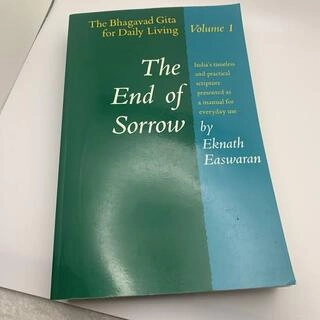 the end  of sorrow volume 1 (used,paper back, good condition)
