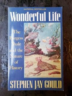 wonderful life (used,paper back, good condition)