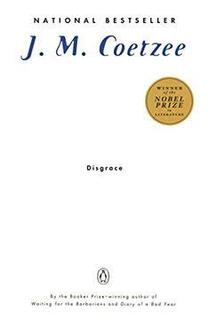 Disgrace ( used, good condition, paperback )