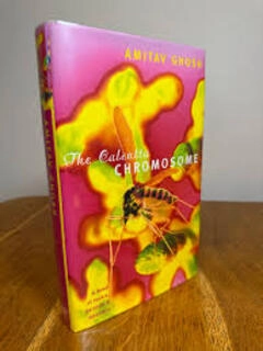 the calcutta chromosome (used,hard cover,good condition)