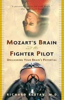 mozart's brain and the fighter pilot (used,paper back, good condition)