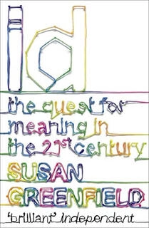 id the quest for meaning in the 21st century  (used,paper back, good condition)