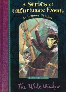 The wide window (used,hard cover,good condition)