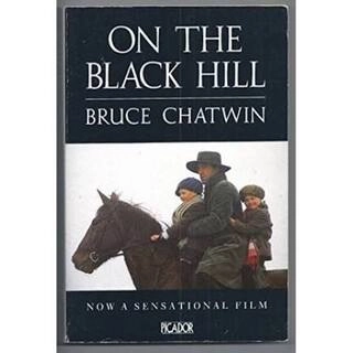 On The Black Hill (used, paperback, good condition)