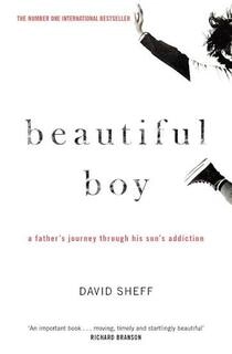 beautiful boy (used , paper back , good condition)