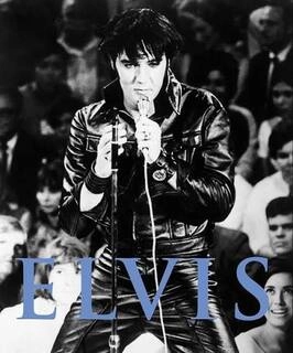 Elvis (used,hard cover,good condition)