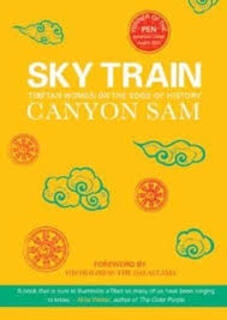 sky train (used,paper back, good condition)