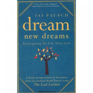dream new dreams (used,paper back, good condition)
