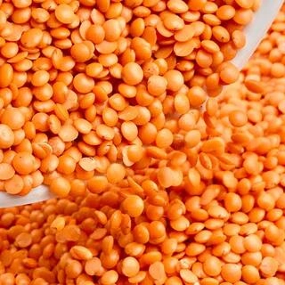Masoor Dal Split