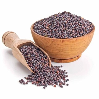 MUSTARD / ಸಾಸಿವೆ / ఆవాల