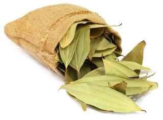 Bay leaf