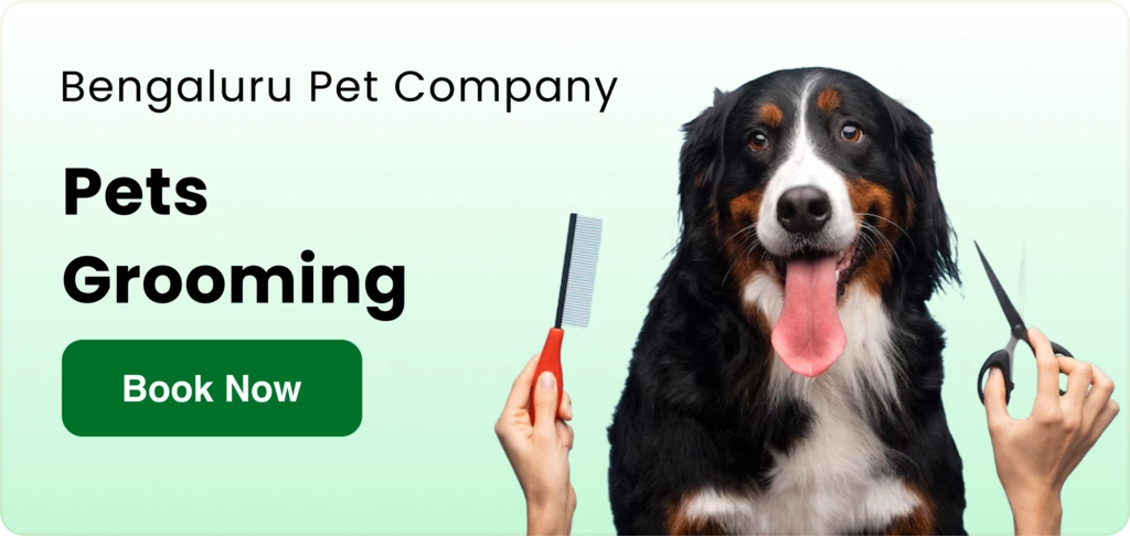 Grooming packages