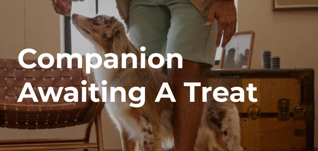 Dog treats