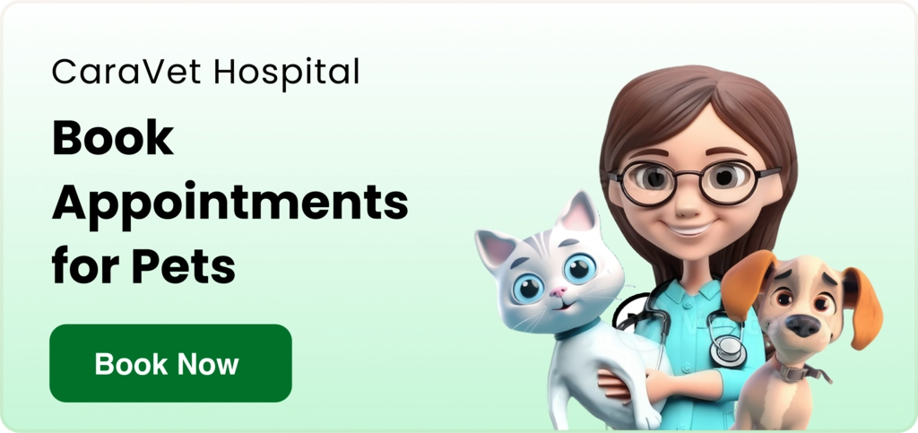 Care vet