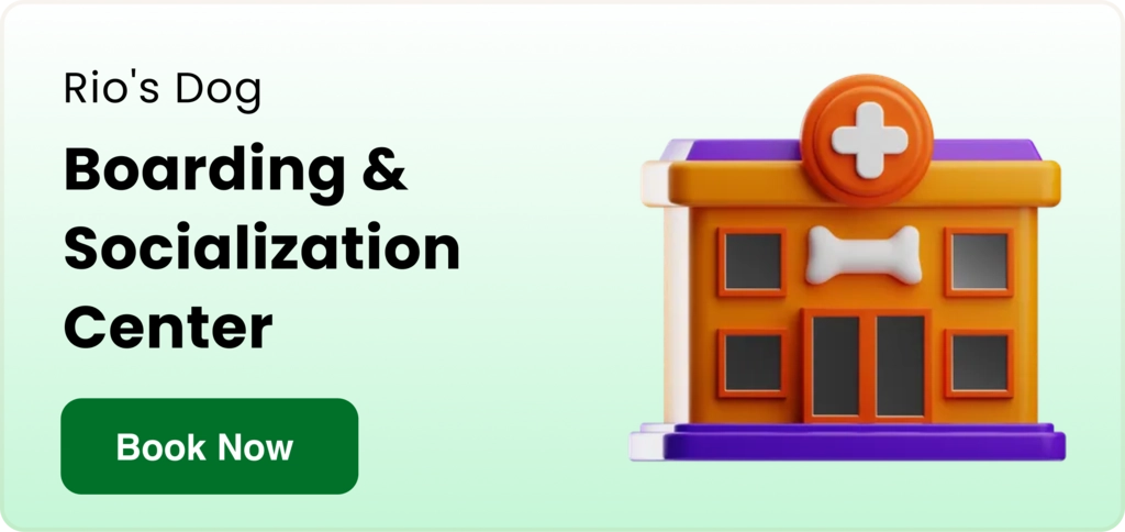 Pet onboarding