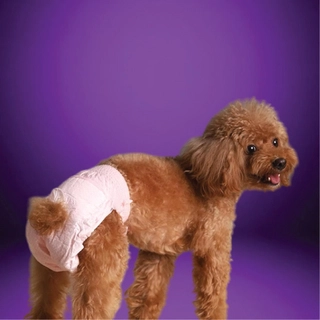 Pet Diapers
