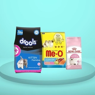 Kittens Food 