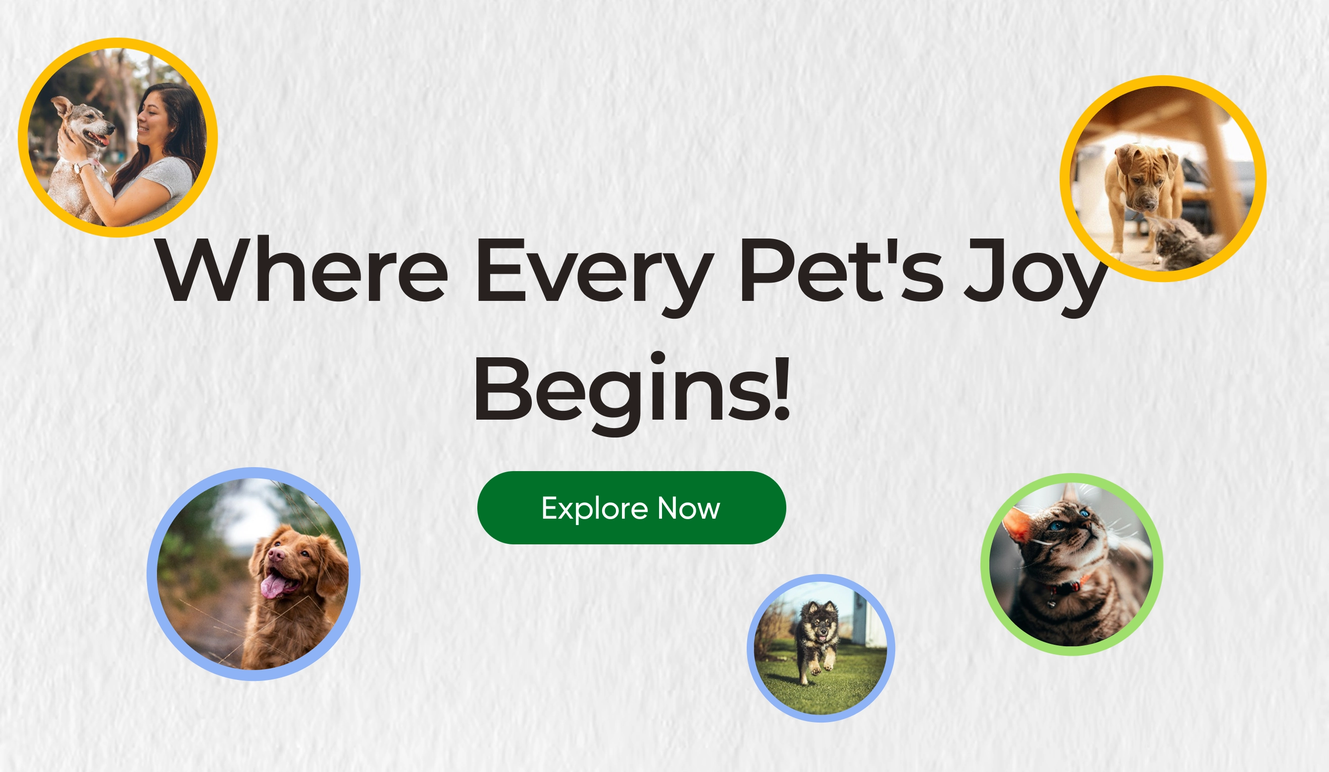 Bengaluru Pet Company